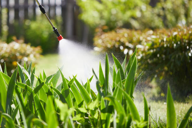 Void Injection for Cockroach Colonies in Simonton Lake