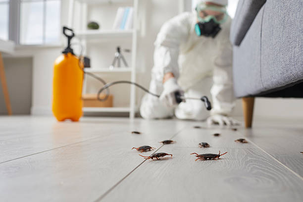 Commercial Kitchen Cockroach Control in Simonton Lake